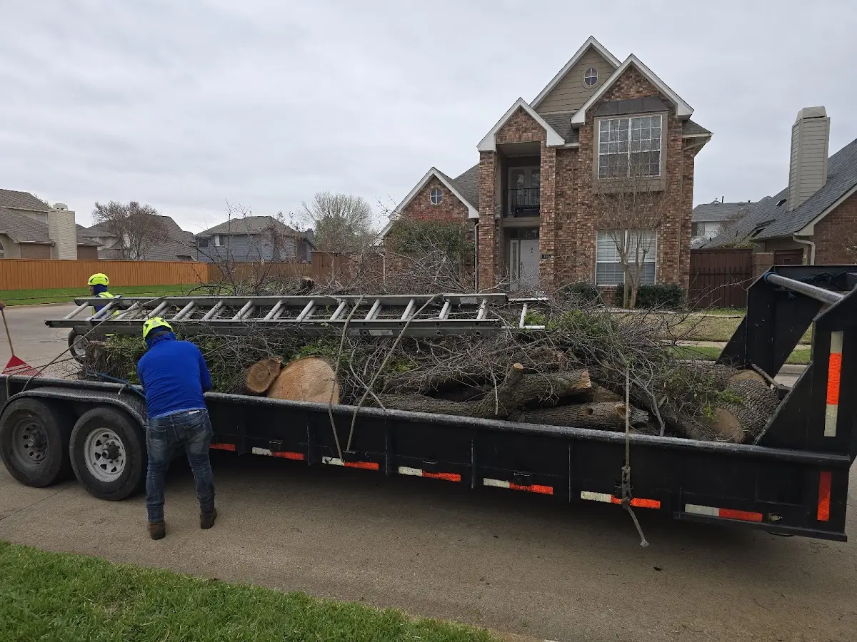 Expert Tree Pest Control with proper safety equipment in Gatesville